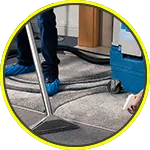 Carpet Cleaning